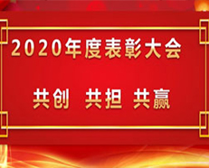 2020安的電子年度表彰大會順利召開 ---“共創(chuàng)，共擔，共贏”主題演講